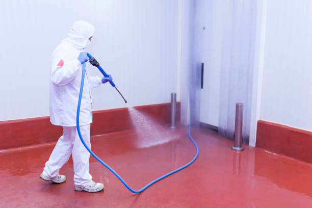 Spring Cleaning in Redlands, CA